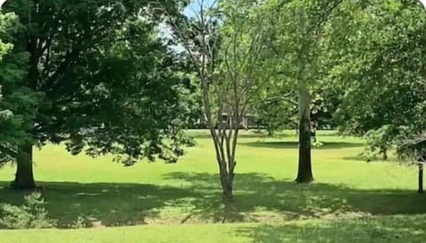 You'll love being across from Harding University and close to restaurants, downtown, Unity Health and all Searcy has to offer. We're only half an hour from Heber Springs and 45 minutes from Little Rock.
