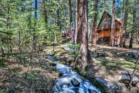 Escape to Pinewaters Forest Cabin, surrounded by towering pines in the Sierra Nevada. A peaceful mountain retreat near South Lake Tahoe, perfect for relaxing, hiking, and ski getaways.