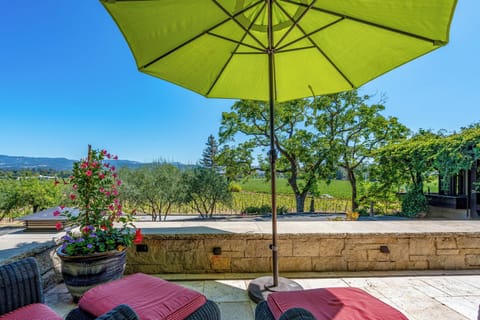 Lounge on the porch with a vineyard View