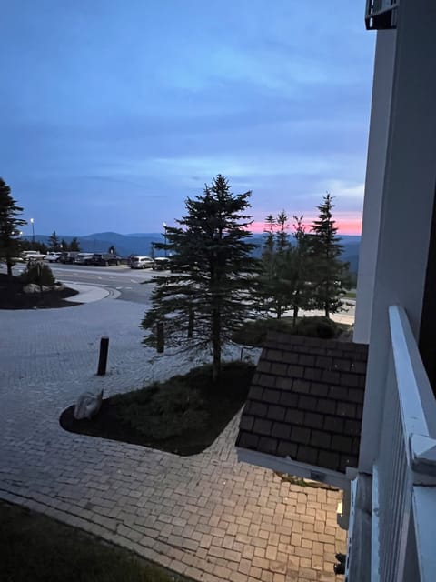 Sunsets