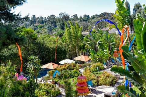 Tropical Backyard