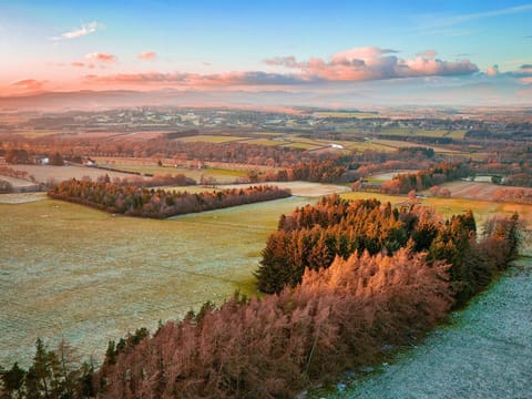 Natural Landscape, Plain, Landscape, Aerial Photography, Field, Plantation, Prairie, Autumn, Evening