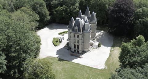 Drone view castle