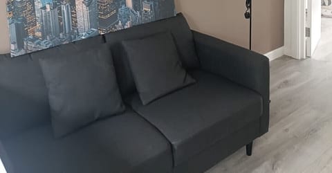 Living Room / Lounge