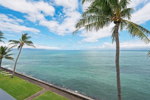 The Pacific is practically at your doorstep—welcome to your oceanfront Maui esca