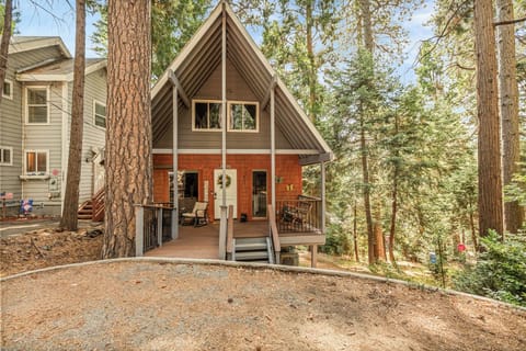 Charming A-frame cabin with front porch in a peaceful pine forest