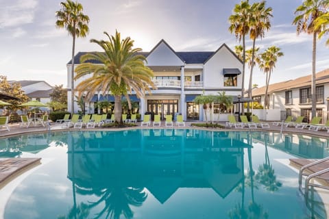Dive into a palm-framed pool with sunny resort vibes.