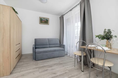 A cozy studio apartment features a gray sofa bed, a tall wooden wardrobe, and a small dining set. A wide window with grey curtains lets in natural daylight.