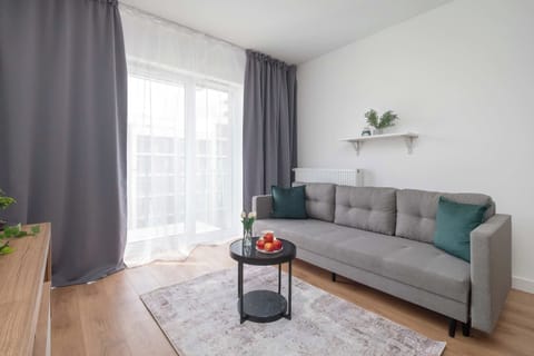 Bright and cozy living room with grey sofa, coffee table, rug, and large windows with grey curtains.