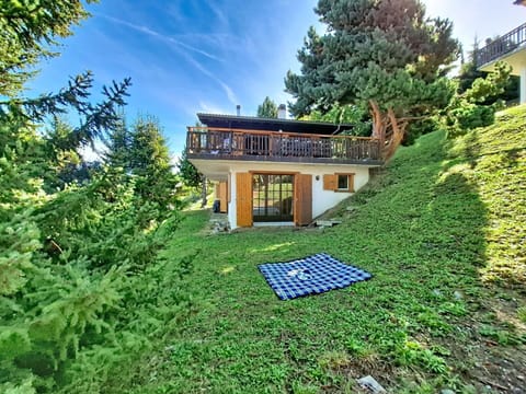 House, Home, Cottage, Garden, Rural Area, Lawn, Farmhouse, Estate, Yard, Backyard