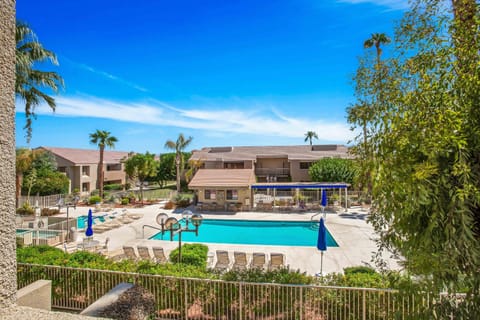 Resort-style pool area with palms and plentiful poolside seating
