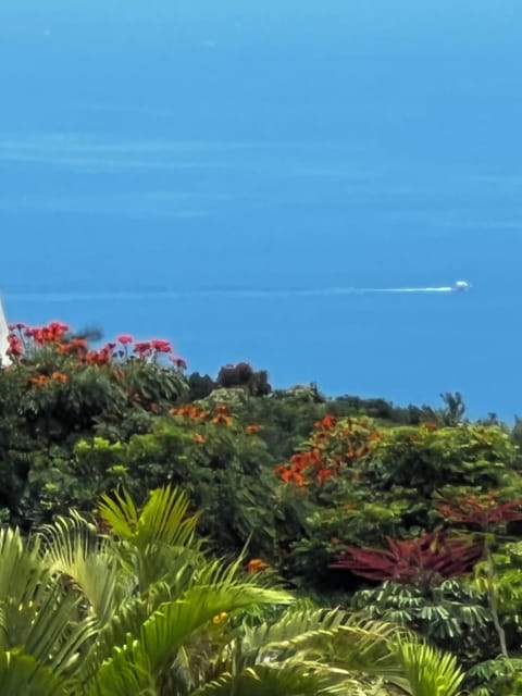 View from tha lanai.