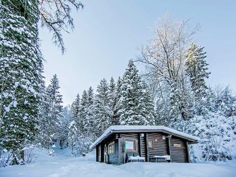 Holiday Home Exterior [winter]