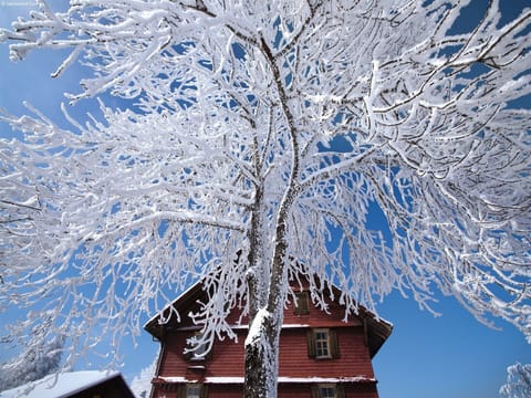 Surroundings [winter] (1-5 km)