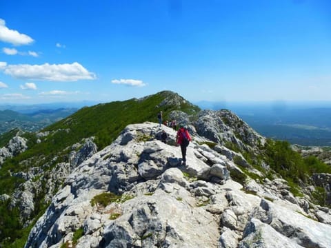 Surroundings [summer] (1-5 km)