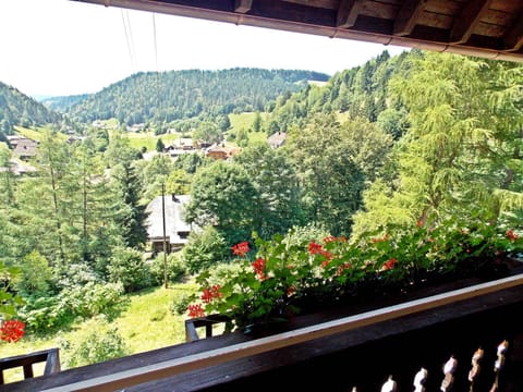 View from Holiday Home [summer]