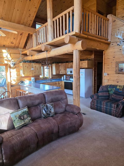 living room/kitchen/loft
