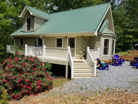 Front side view of cabin with mature cabbage rose bush fully in bloom