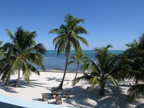 Your view from the condo balcony!