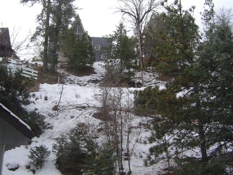 Cozy inside watching the snow outside.