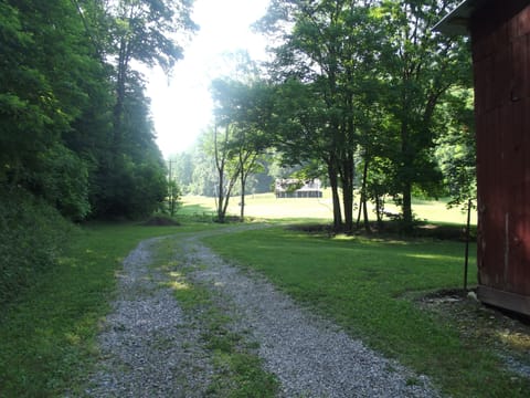 First glimpse of your cabin in the woods