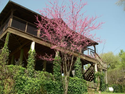 Log Treehouse Overlooking the Colorado River