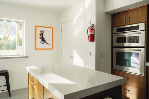 Kitchen island with a Basquiat in the house 