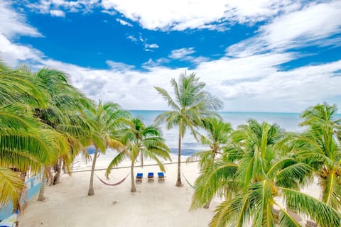 Fabulous balcony view!