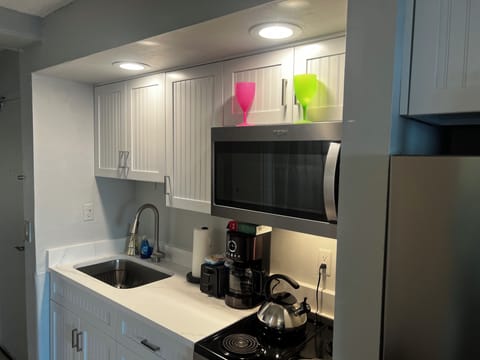 Newly remodeled Kitchen with Full sized Stainless Refrigerator Microwave & Stove