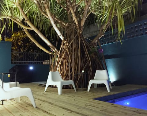 The patio with its unique tropical mangle-type plant by the pool
