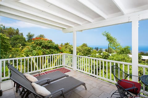 Relax and read a book while watching the birds in the garden.