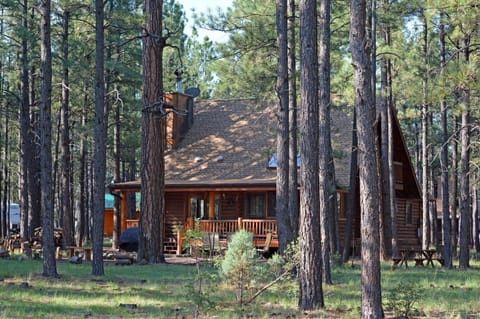 Cabin Deck and Patio from Forest