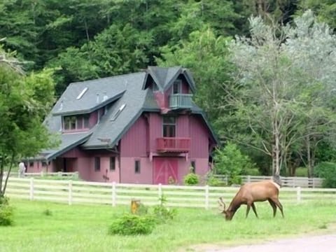 Contemporary Farmhouse
Redwood National Park