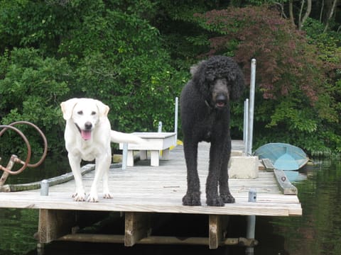 Our Chrisy & Cooper on our dock with rowboat (hand-built Annapolis Wherry,) 