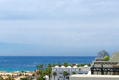 View from the rooftop terrace!
