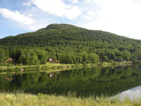 Senic Views of Lake and Mountain during Summer