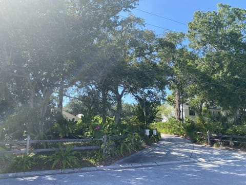 Entrance to paradise, no one will know you are here! 
