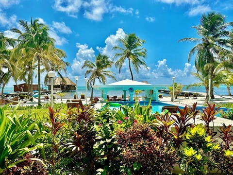 View from your condo porch!