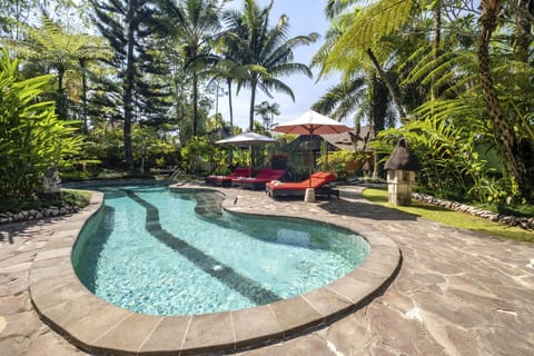 Outdoor Pool Surrounded by Sun Loungers
