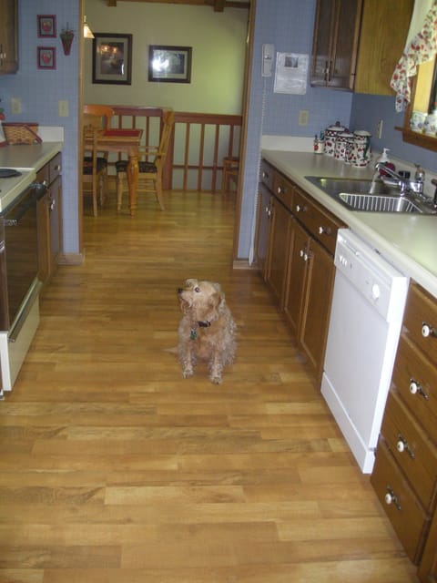 Galley kitchen with everything you need