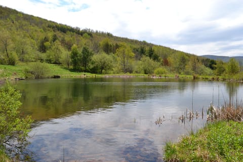 1 of 4  ponds. This pond is 1 acre and Fully stocked.