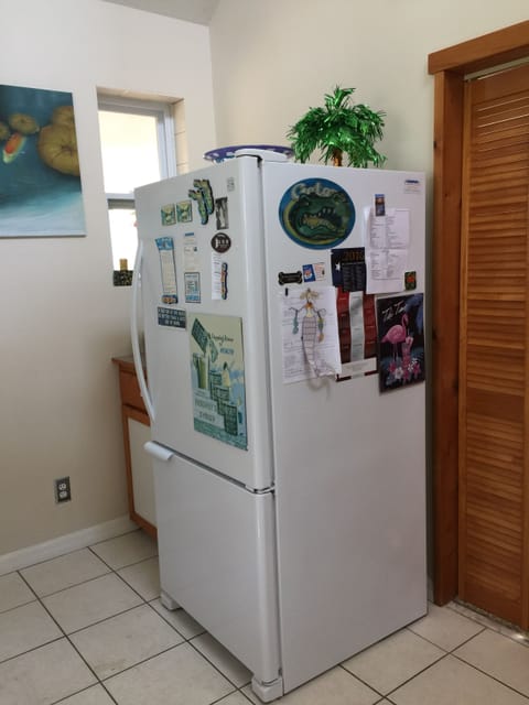 fridge (no ice maker). 