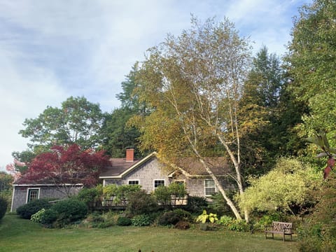 An early Autumn view