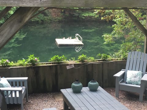 Merganser kids waiting on dock for Mom 