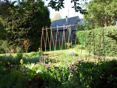 The cottage seen from our vegetable garden