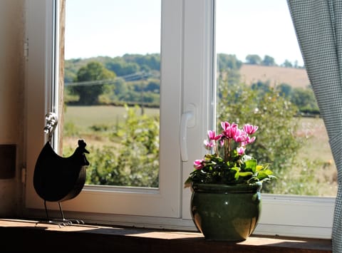 Great view when washing up!