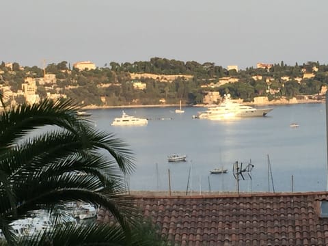 View from the terrace