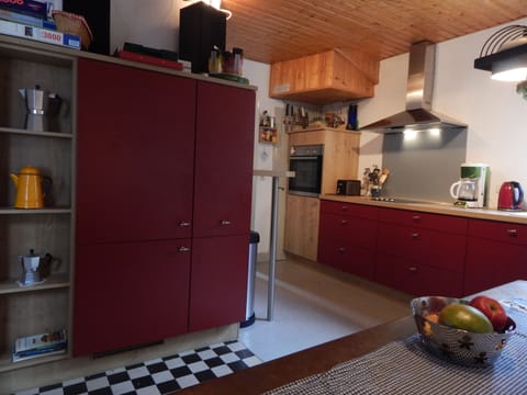 Funky modern red kitchen