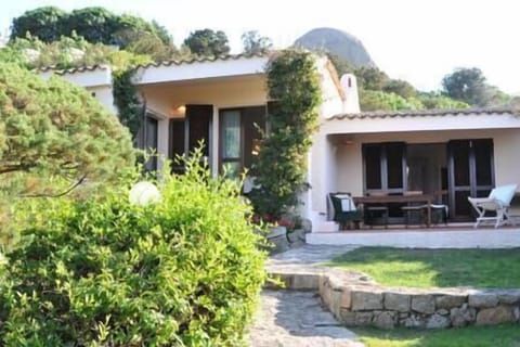 24e146a2-b8c8-43c5-af9e-ab09174a75c6