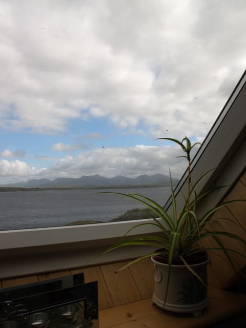 View from upstairs bathroom window